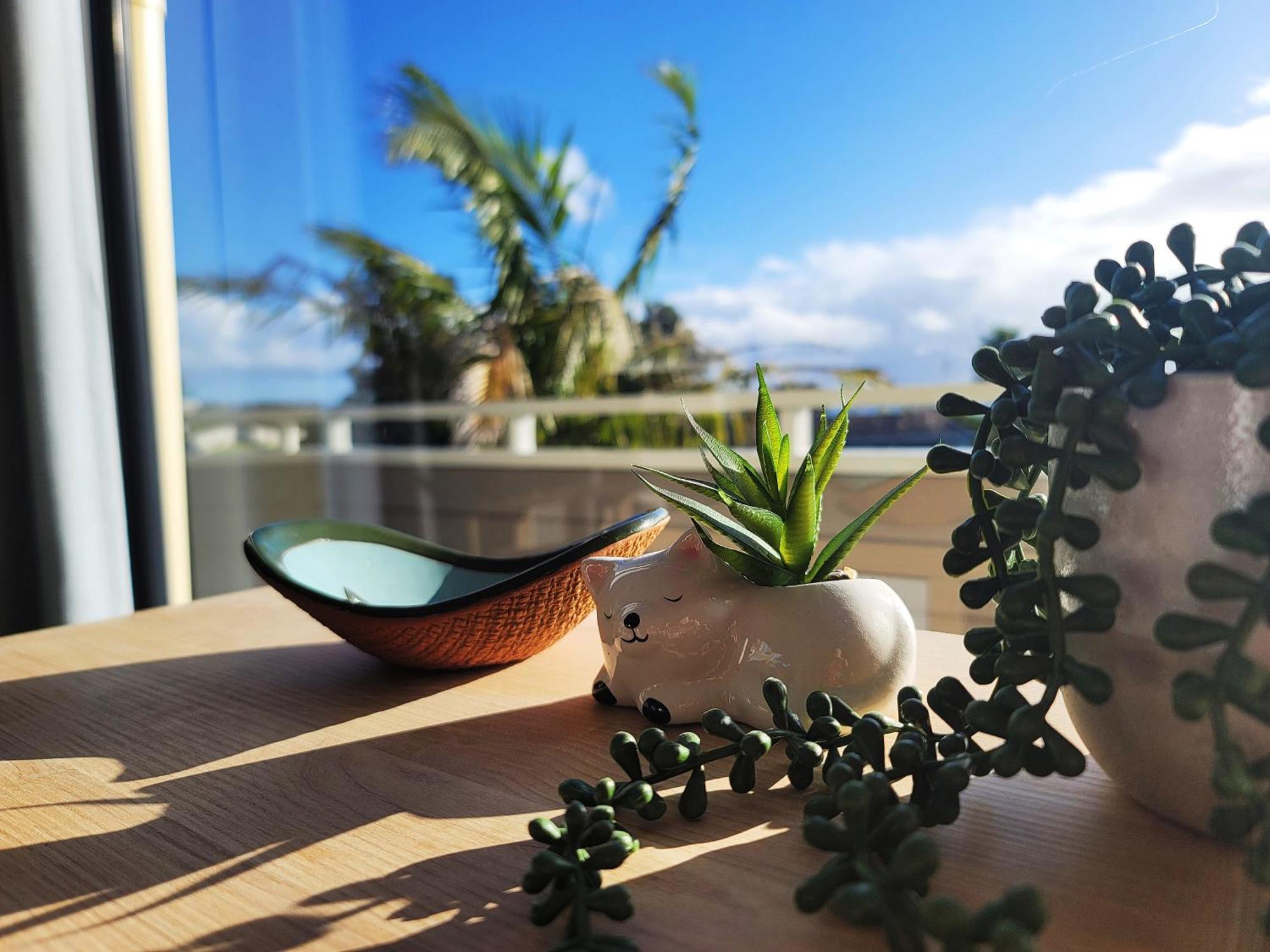 Sea View 5 Bedroom Holiday House 황가파라로아 외부 사진